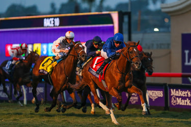 About the Breeders' Cup World Championships