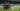 Keeneland thoroughbred horse racing 