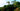 San diego landscape with palm trees and lush greenery by a body of water.