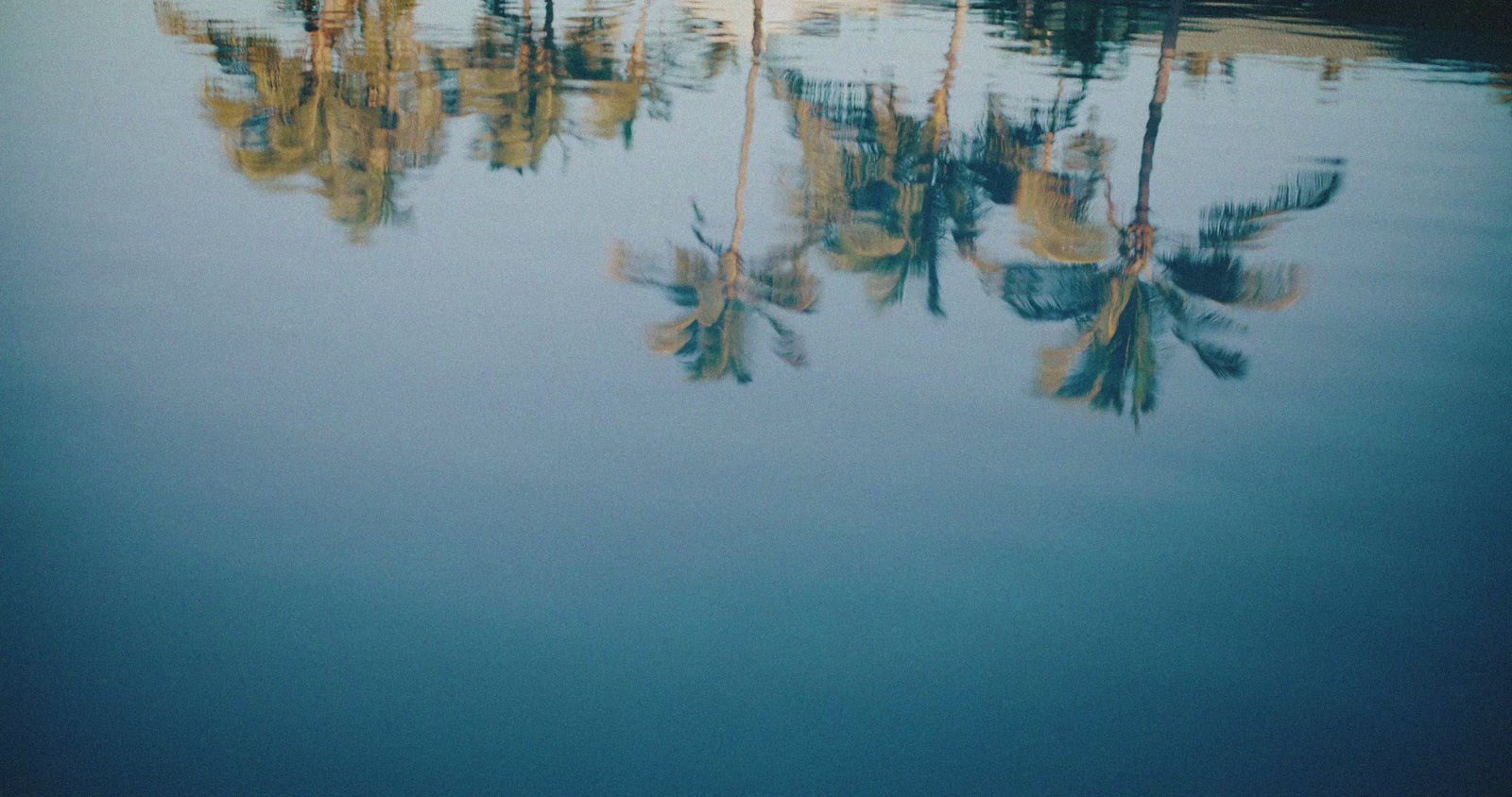 A serene blue water surface reflecting the dark silhouettes of palm trees against a soft gradient sky.