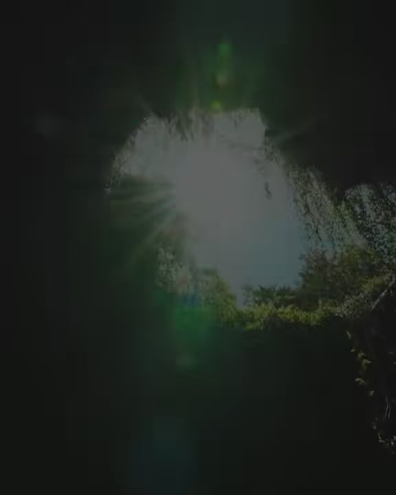 Experience florida oceans