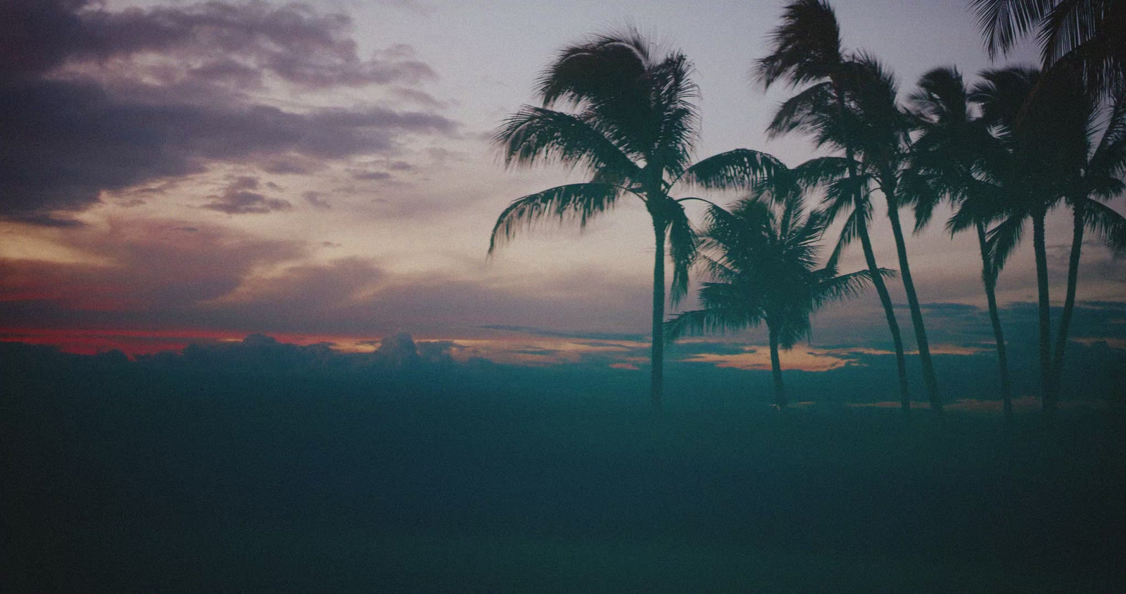 A scenic tropical sunset over calm water with silhouetted palm trees on the right, a distant island on the horizon, and clouds reflecting in the water. The sky shows pink, orange, purple, and blue tones.