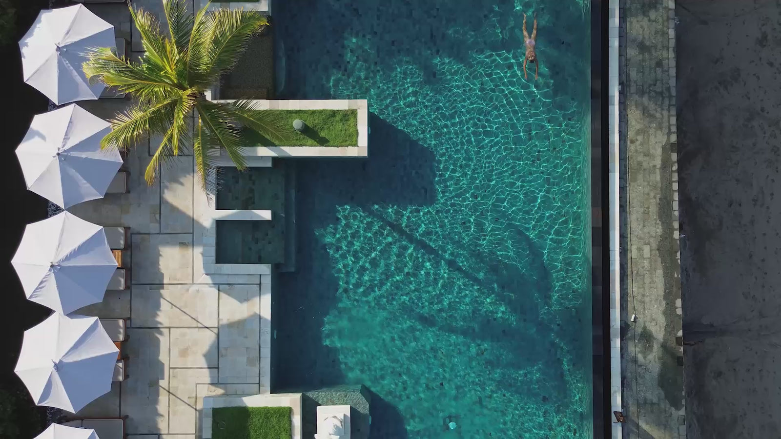 Aerial view of a pool with parasol umbrellas, bamboo, lounge chairs, and a palm tree.