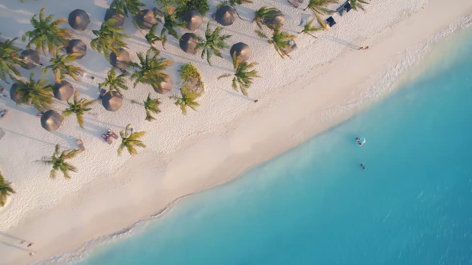 Aerial view of a tropical beach with palm trees and clear blue water.