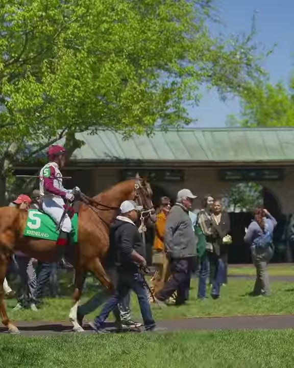 Kentucky thoroughbred horse racing at keeneland in Lexington, Ky