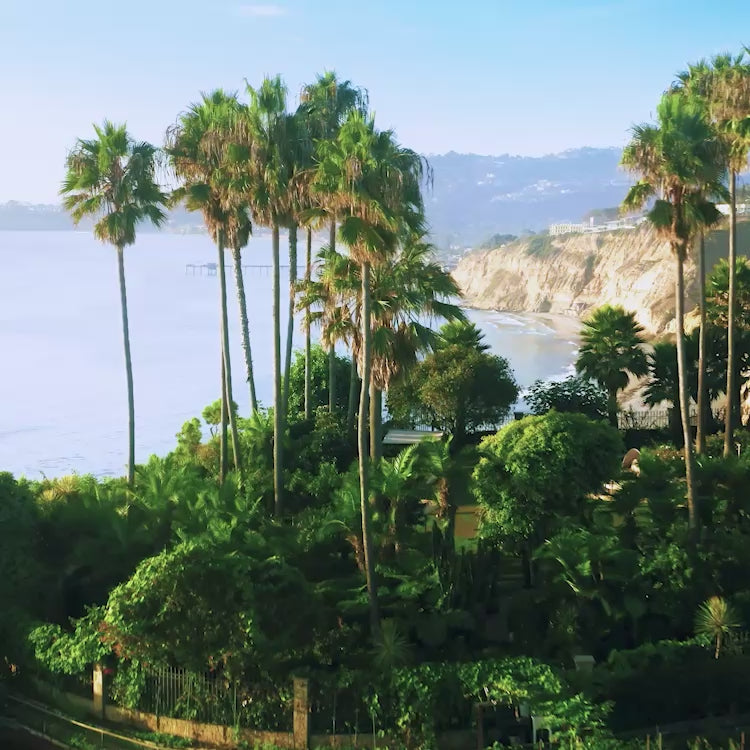 San diego california summer coastline People playing volleyball on a beach at sunset